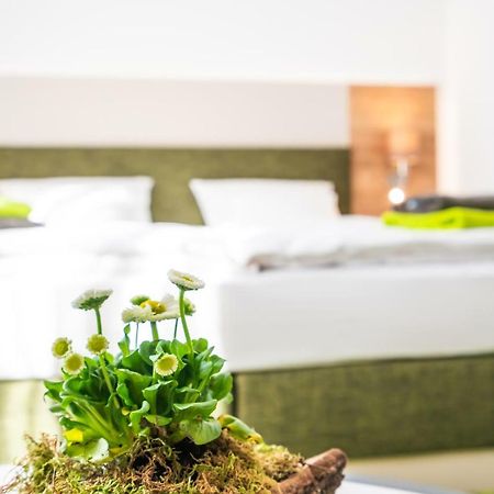Hotel-Pension Treppengasse Nr 6 阿尔滕堡 外观 照片