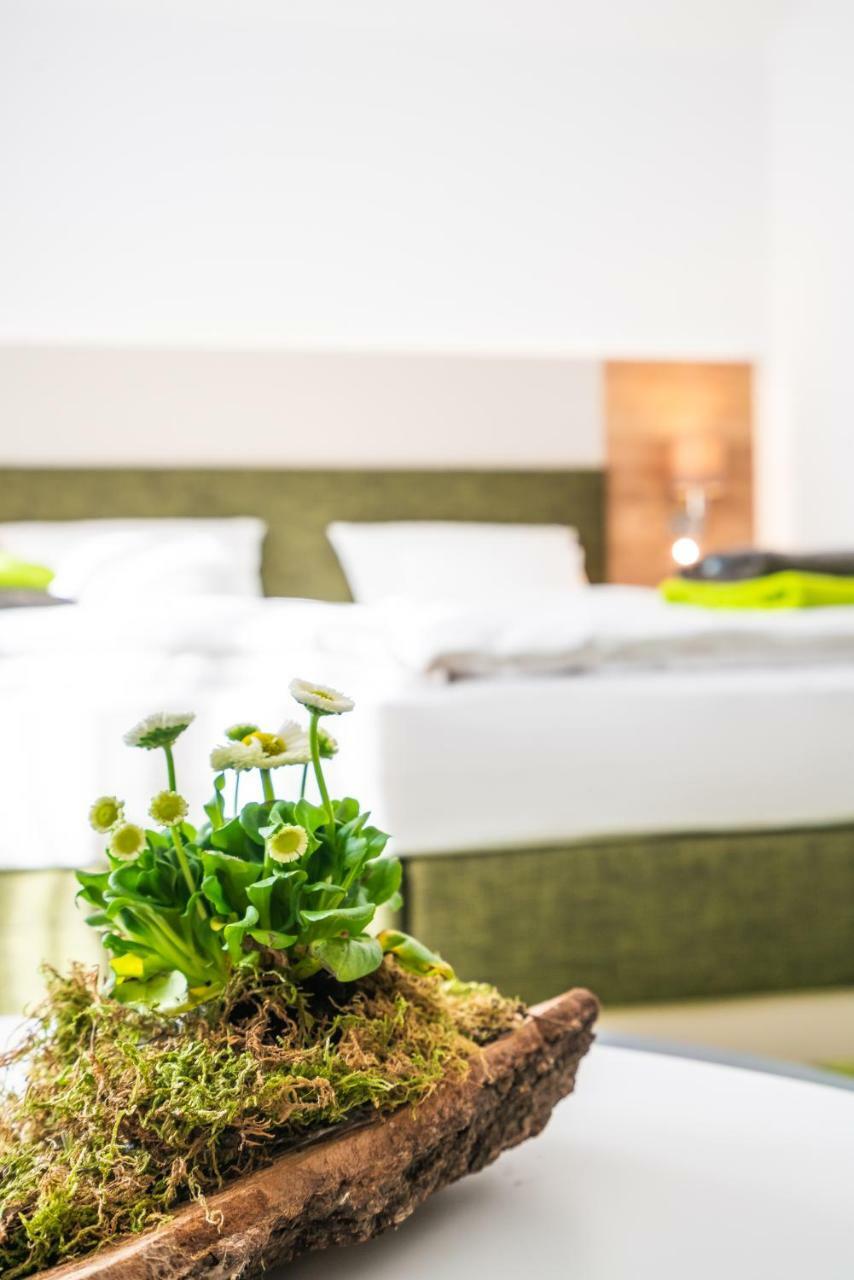 Hotel-Pension Treppengasse Nr 6 阿尔滕堡 外观 照片